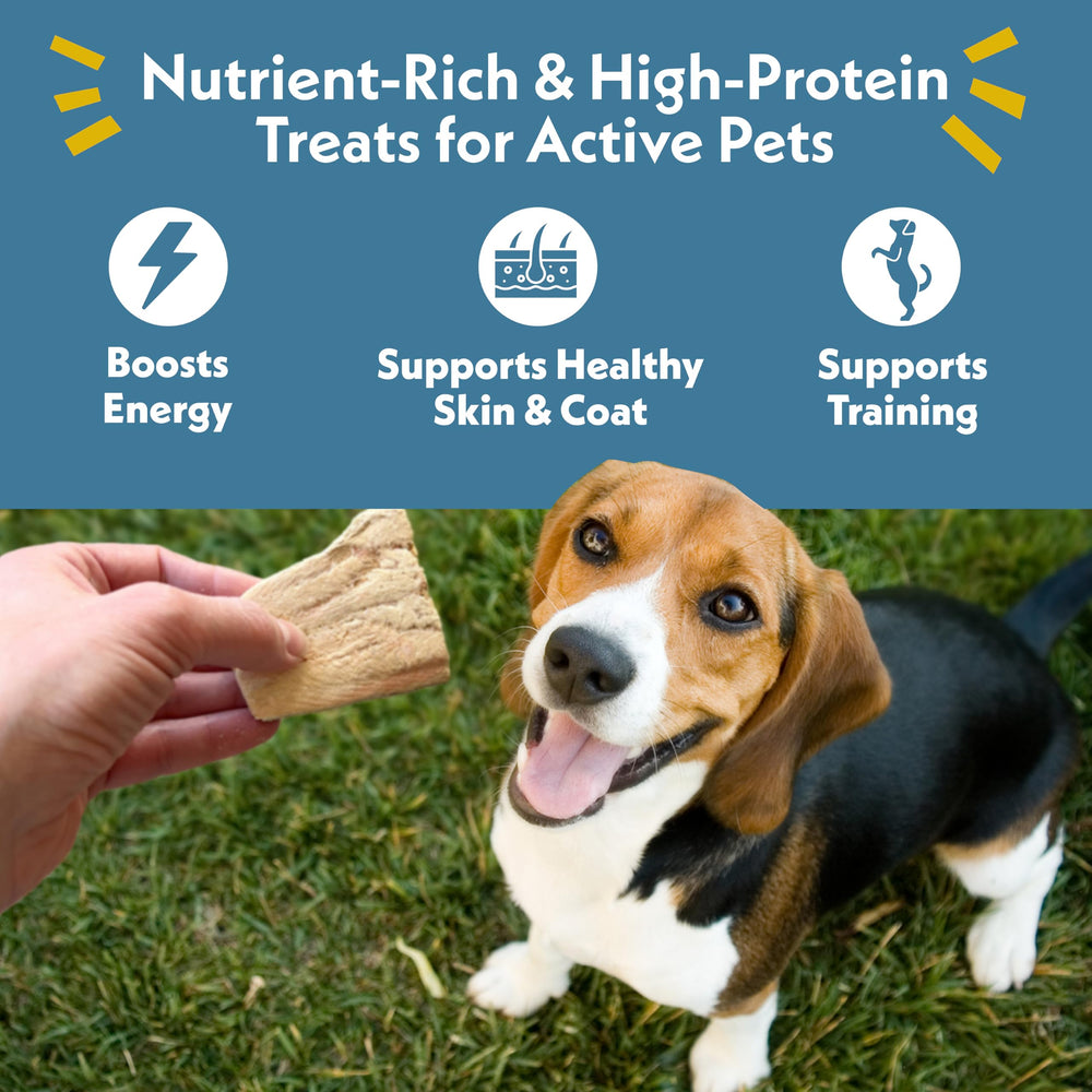Close-up of Fresh Is Best freeze-dried salmon pieces for dogs and cats