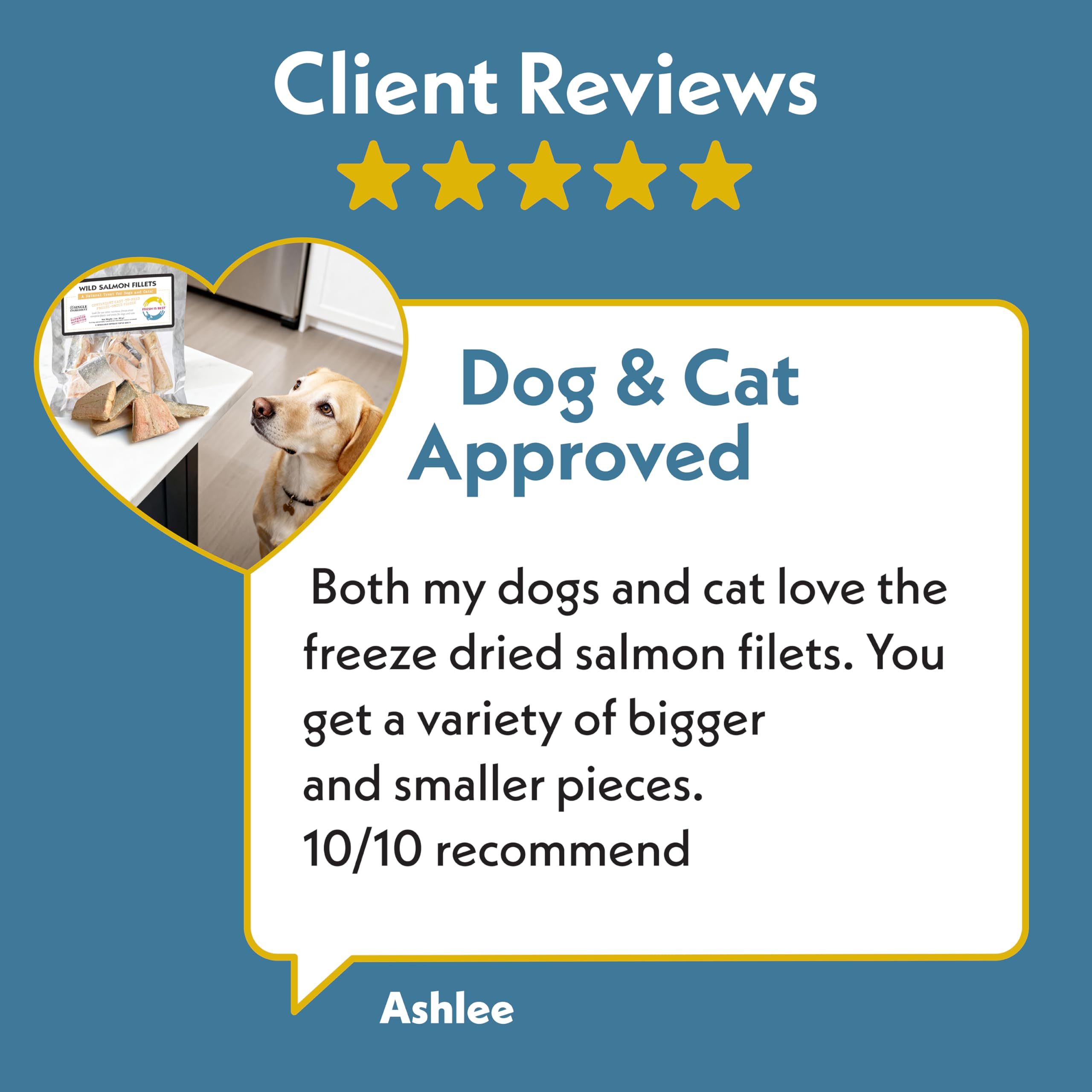 High-protein salmon snack from Fresh Is Best for pets
