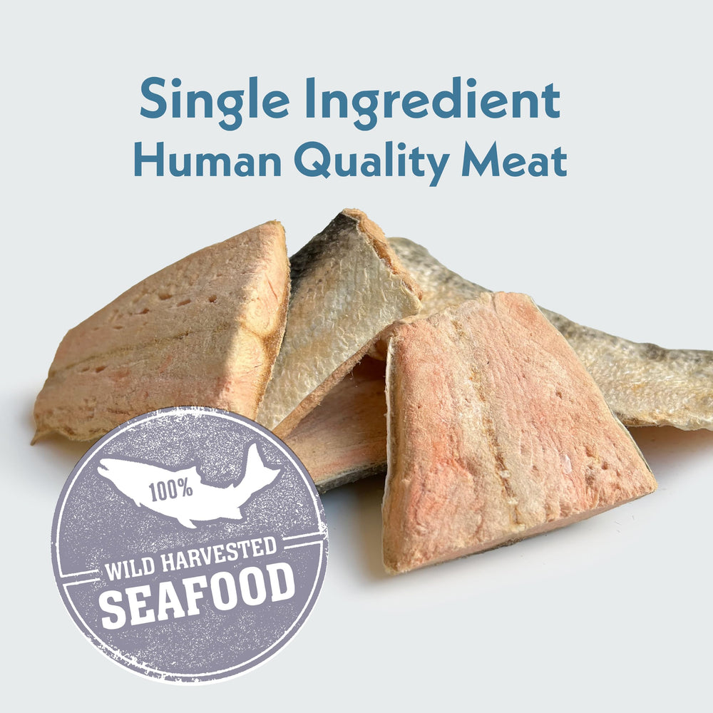 Small-batch freeze-dried salmon production by Fresh Is Best