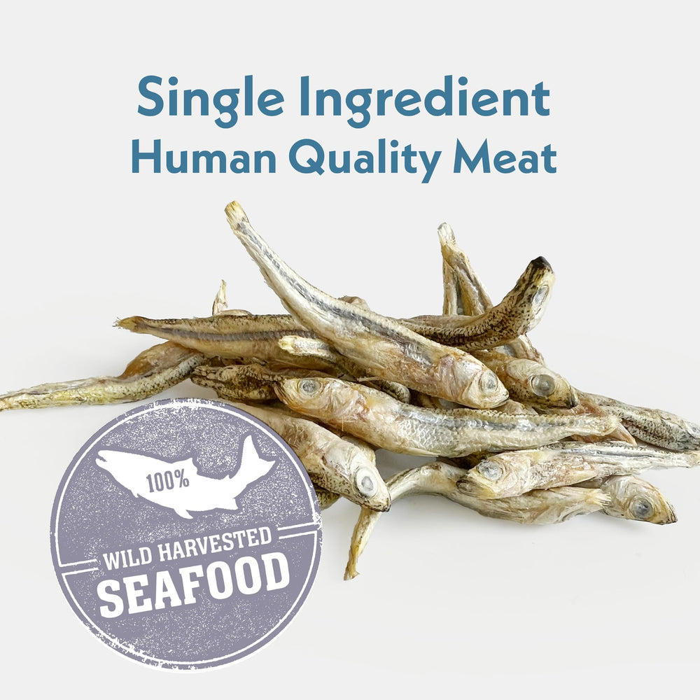 Fresh Is Best Silverside Minnows packaged in USA-made packaging
