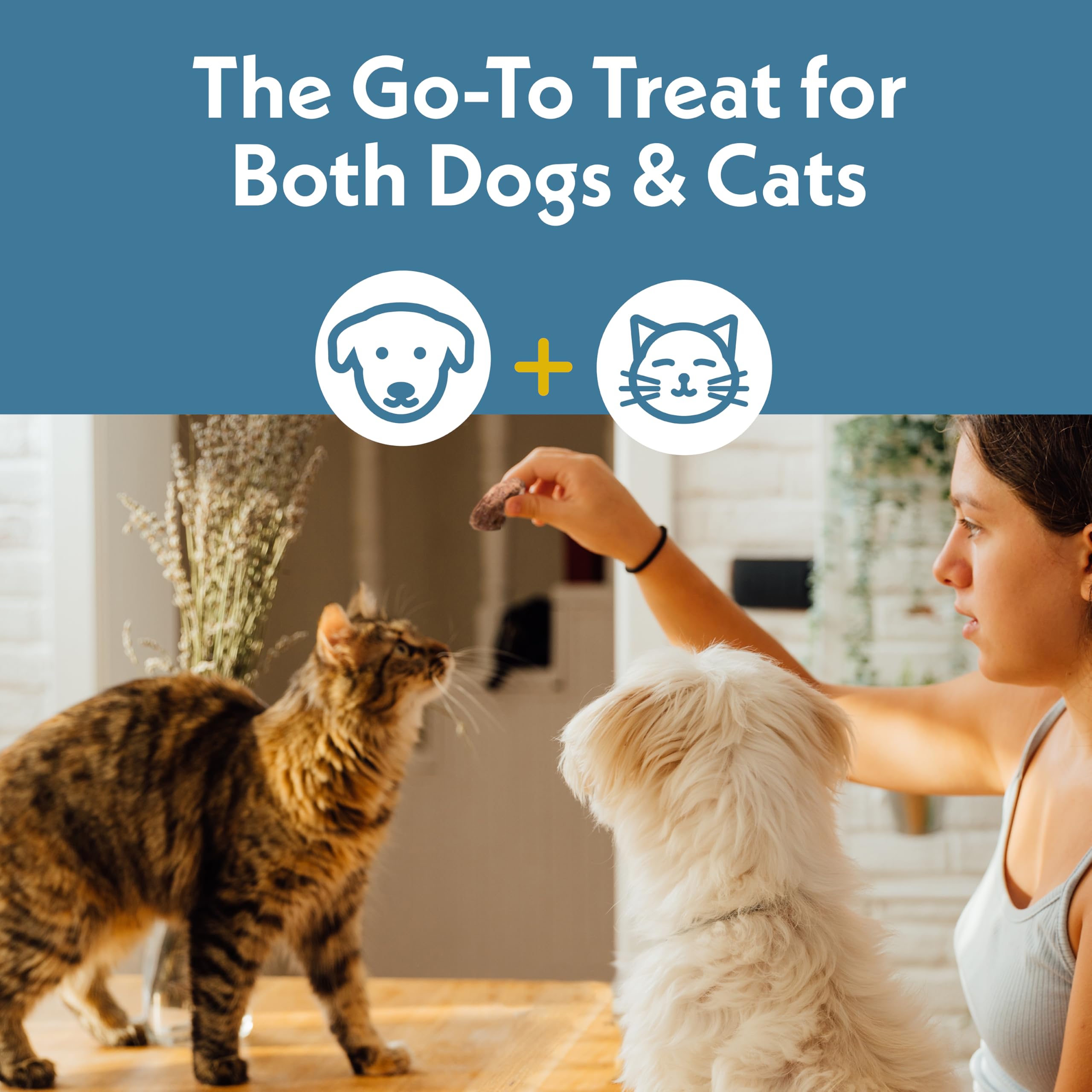 Fresh Is Best training treat dry or rehydrated for rewarding behavior.