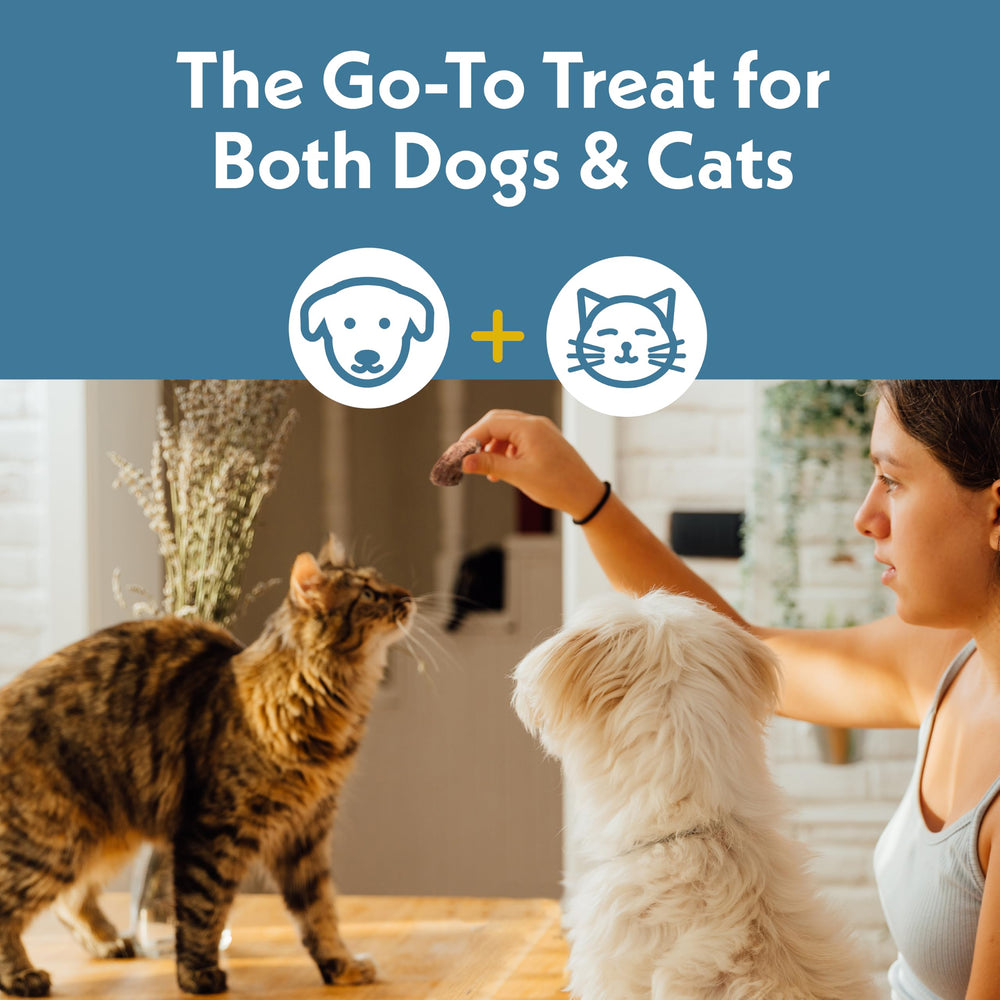 Fresh Is Best training treat dry or rehydrated for rewarding behavior.