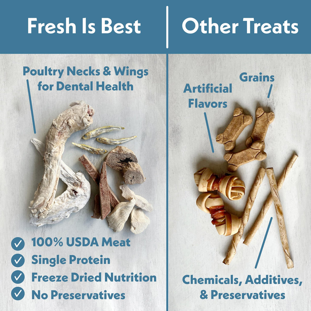 Pet training moment with Fresh Is Best treats used as a reward.