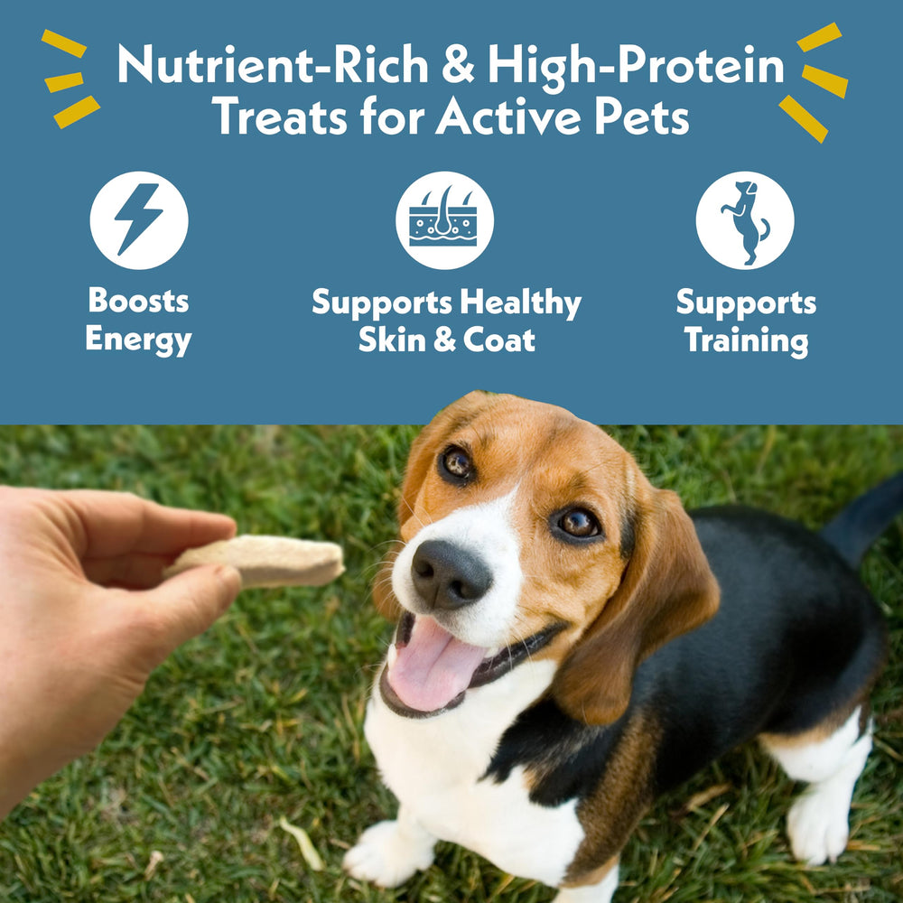 Fresh Is Best Turkey Tenders close-up ingredients highlighting 100% turkey protein.