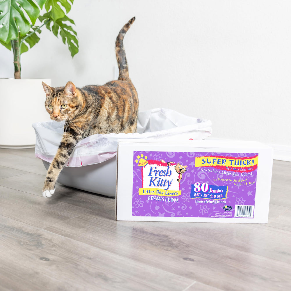 Fresh Kitty four-box twenty-count pack keeps refills organized.