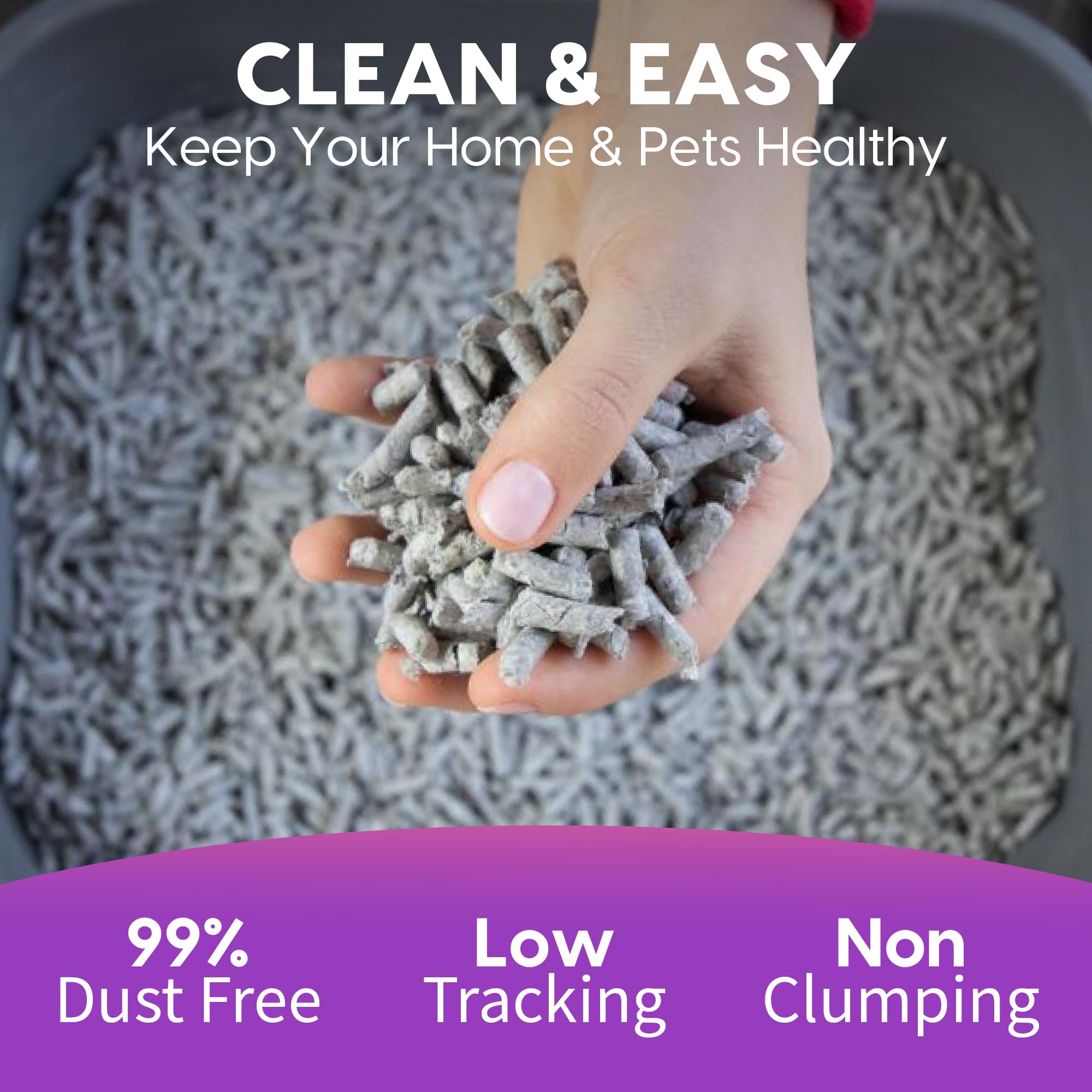 Fresh News dust-free non-allergenic litter for easier cleaning and care.