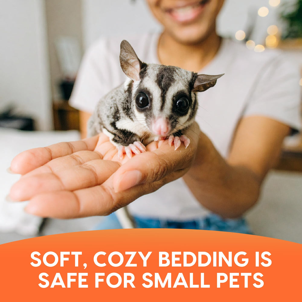 Fresh News creates a healthy environment for small animals and easy cleanup