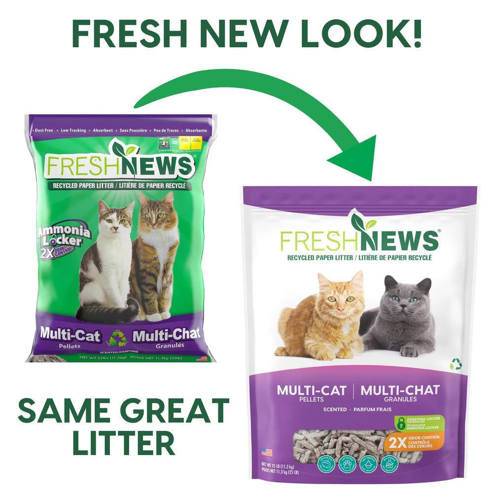 Fresh News multi-cat litter setup shows practical shared-use arrangement.