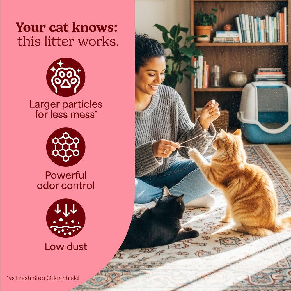 Two-box packaging helps busy homes maintain supply.