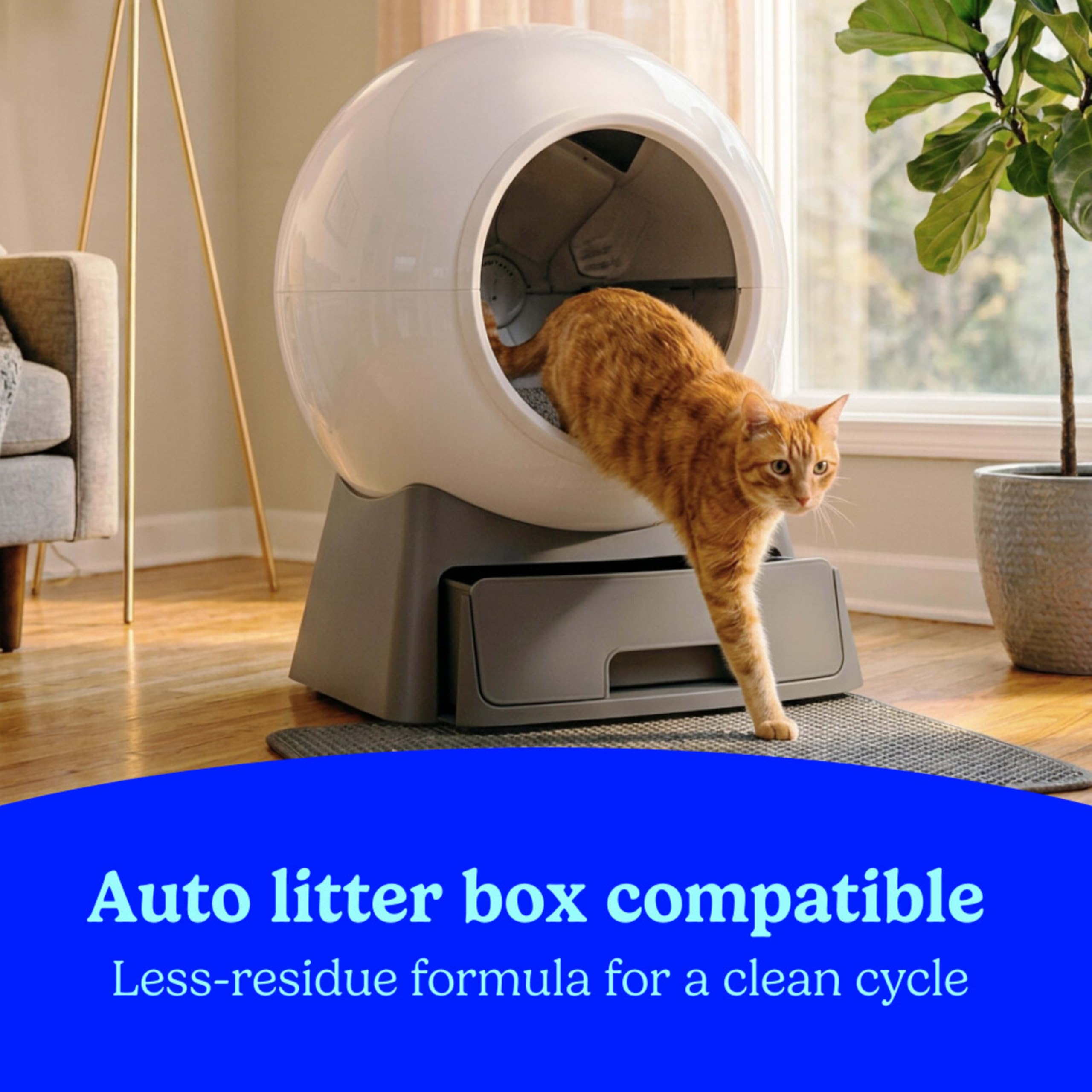 Two 18.5-lb boxes shown for multi-cat households