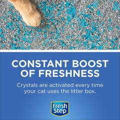 Close-up of Fresh Step dry crystals maintaining cleanliness in the litter box.