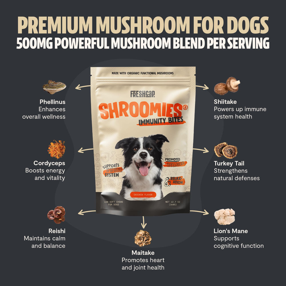 FreshCap Mushrooms Shroomies bag back showing ingredients and calm-support benefits.
