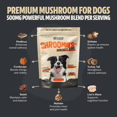 FreshCap Mushrooms Shroomies bag back showing ingredients and calm-support benefits.