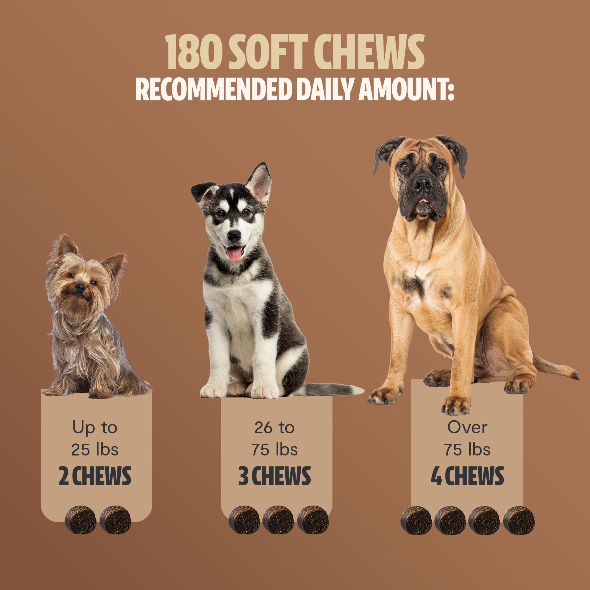 FreshCap Mushrooms Shroomies dog-eating chew scene demonstrating tasty treat.