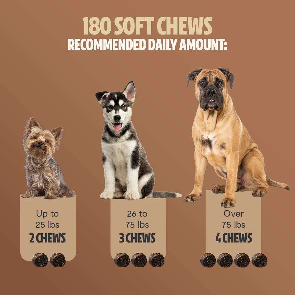 FreshCap Mushrooms Shroomies dog-eating chew scene demonstrating tasty treat.