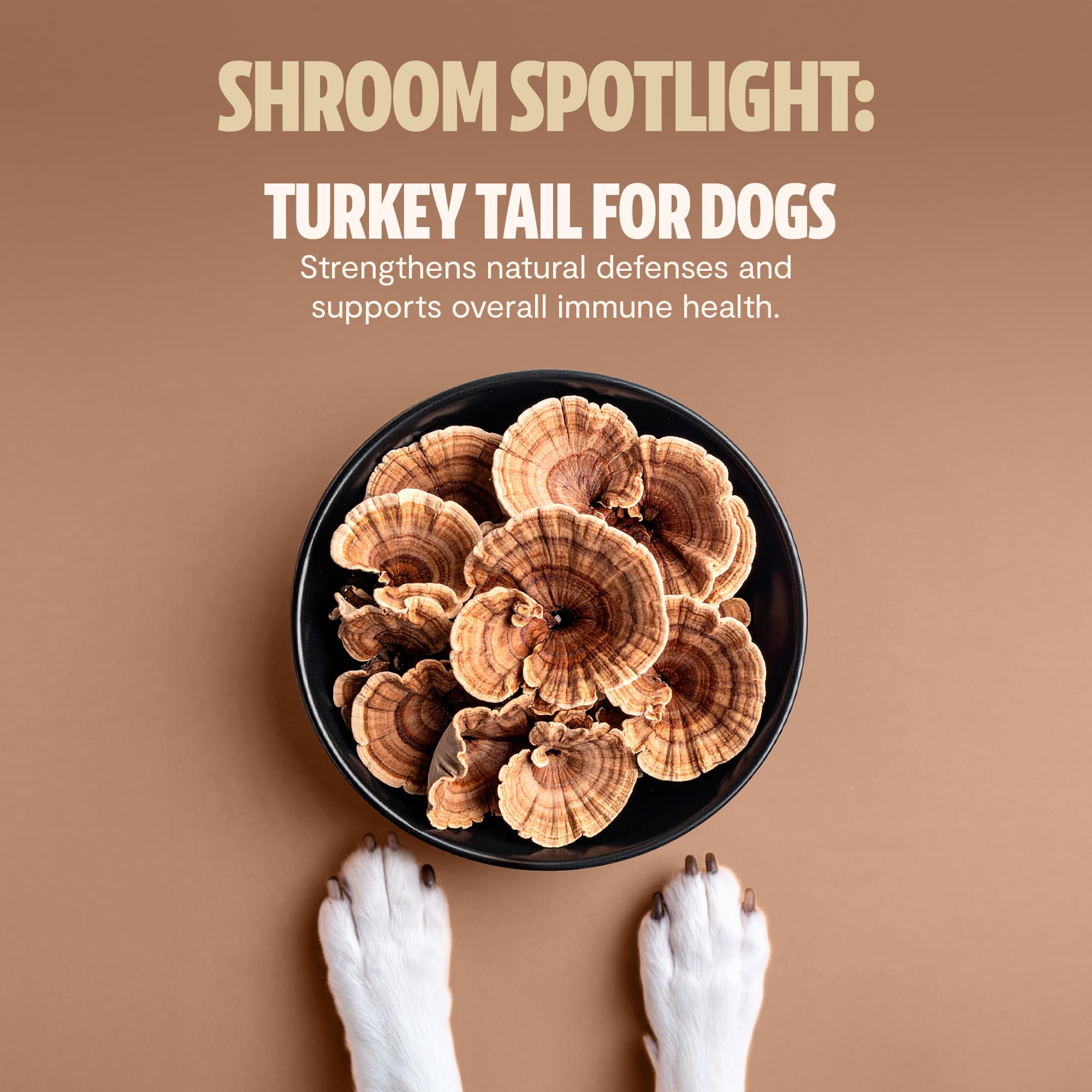 FreshCap Mushrooms Shroomies serving suggestion in hand for easy daily use.