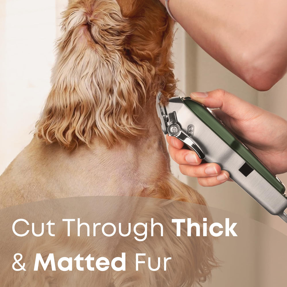 Freshly Bailey kit includes 8 comb attachments for flexible styling