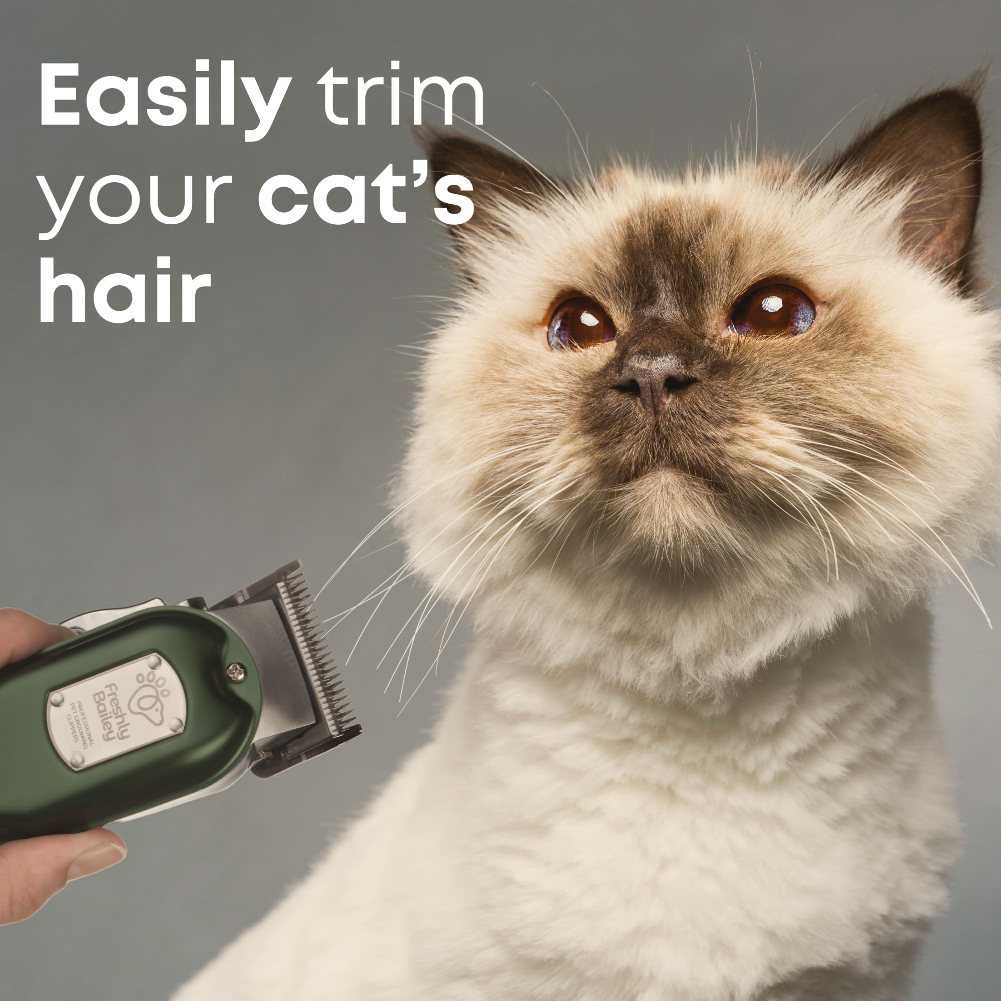 Freshly Bailey clippers with low-noise operation calming a nervous cat