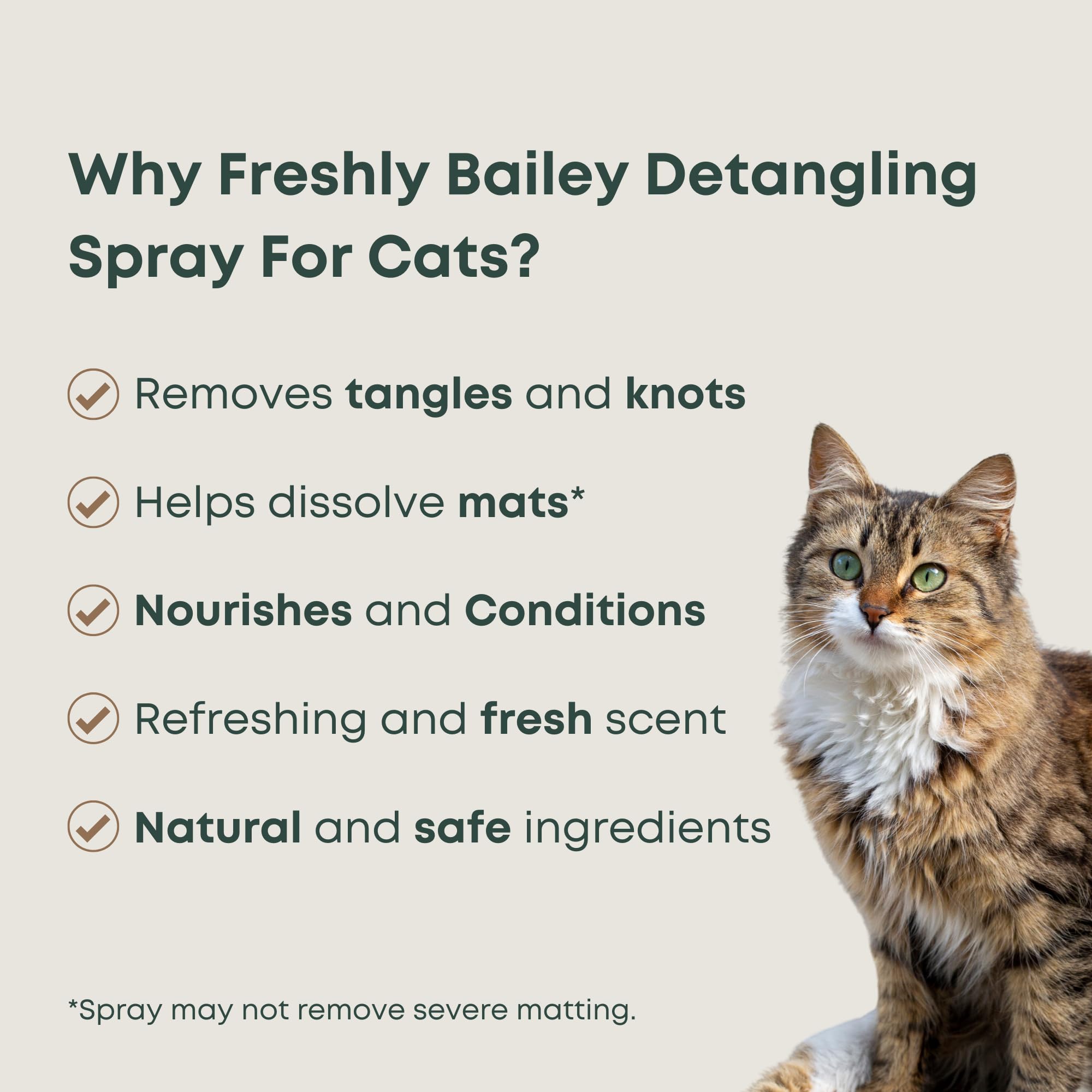 Freshly Bailey detangler untangles a cat's coat for smooth brushing.