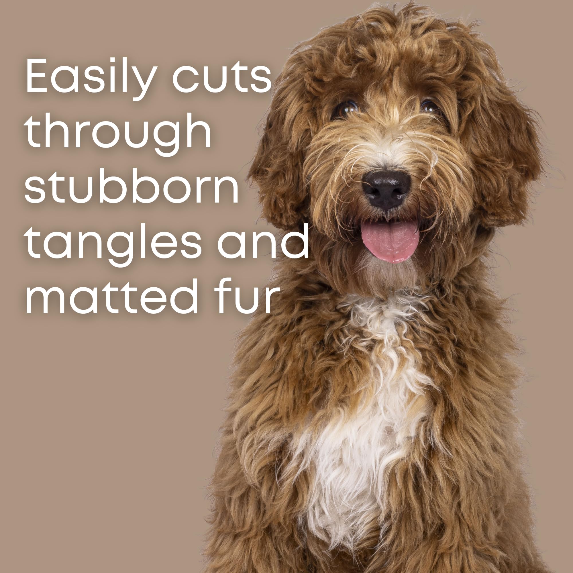 Freshly Bailey dematting comb glides gently through coat