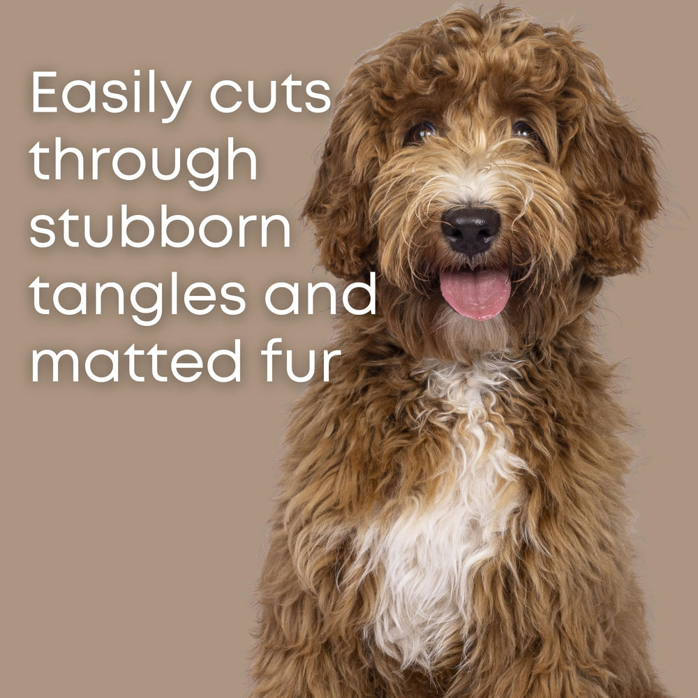 Freshly Bailey dematting comb glides gently through coat