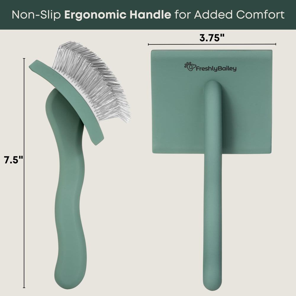 Freshly Bailey Doodle Brush packaging close-up highlighting value and durability
