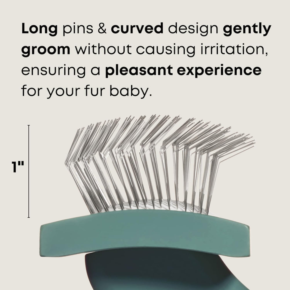Freshly Bailey Doodle Brush uses gentle pins for comfortable grooming