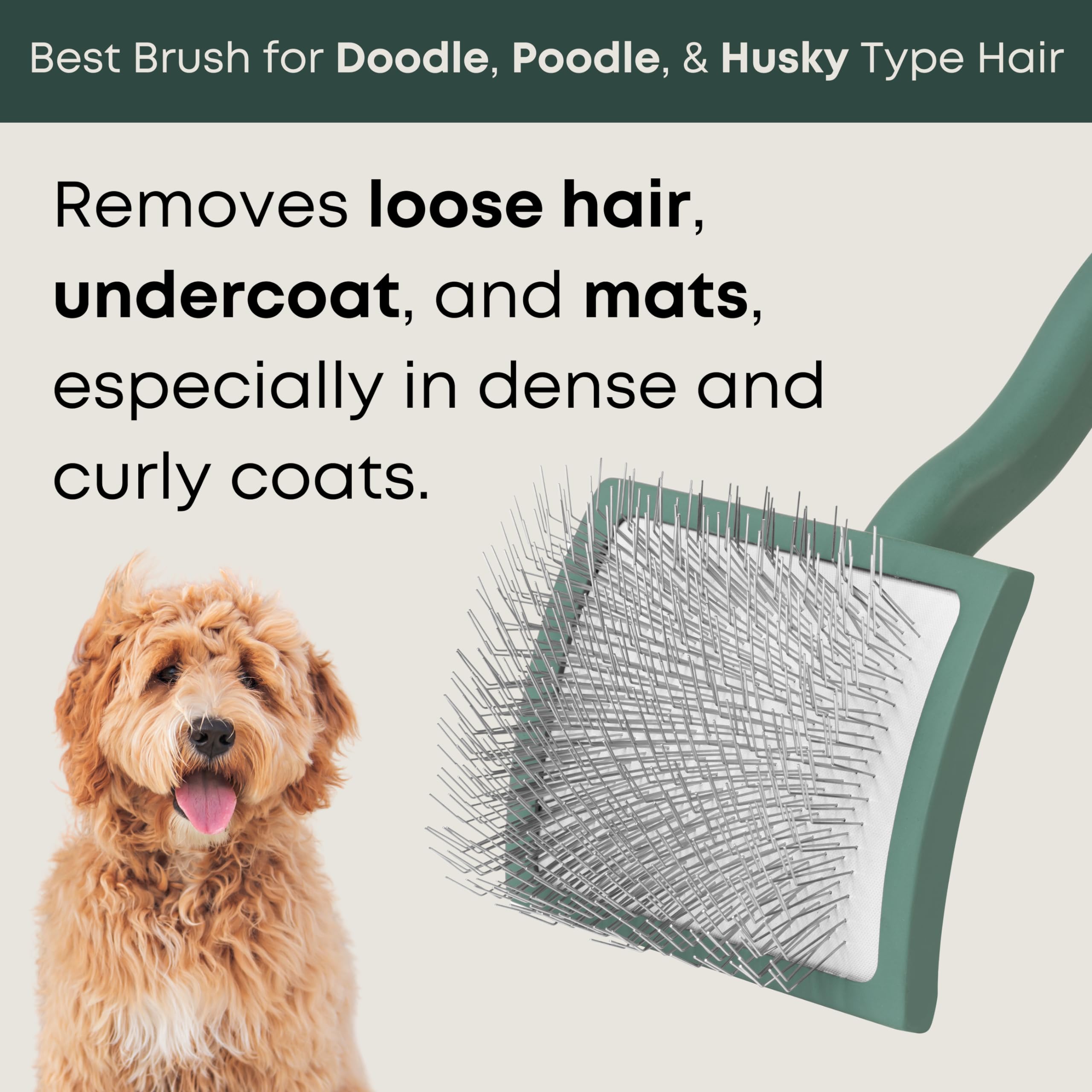 Freshly Bailey Doodle Brush close-up shows long pins for gentle detangling