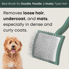 Freshly Bailey Doodle Brush close-up shows long pins for gentle detangling