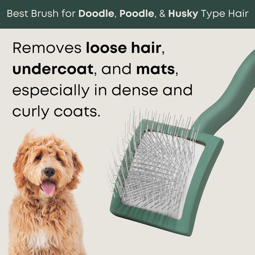 Freshly Bailey Doodle Brush removes undercoat and loose hair effectively