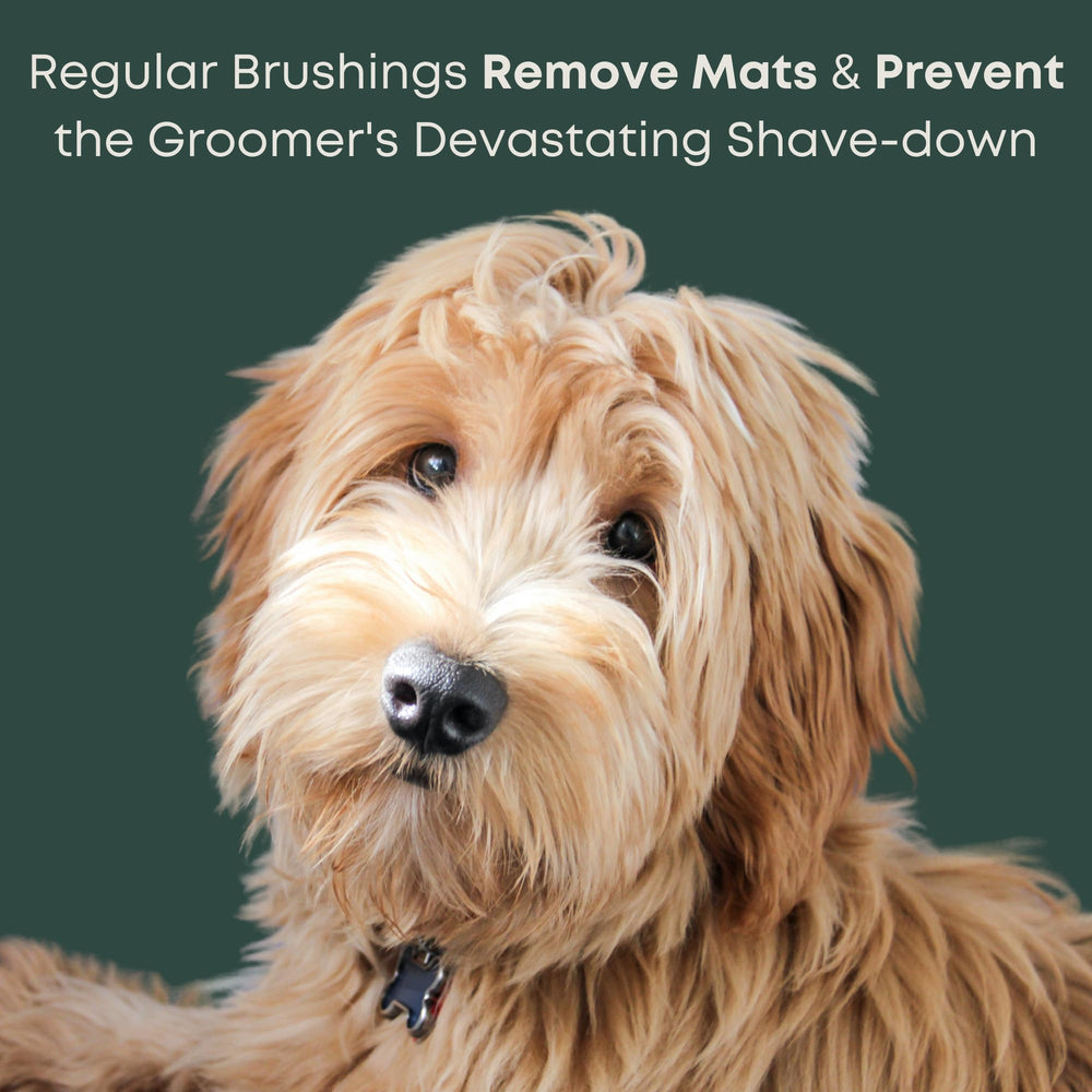 Freshly Bailey Doodle Slicker Brush coat care tool for smooth fur and dirt removal.