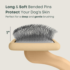 Freshly Bailey Doodle Slicker Brush long pins close-up for deep brushing.