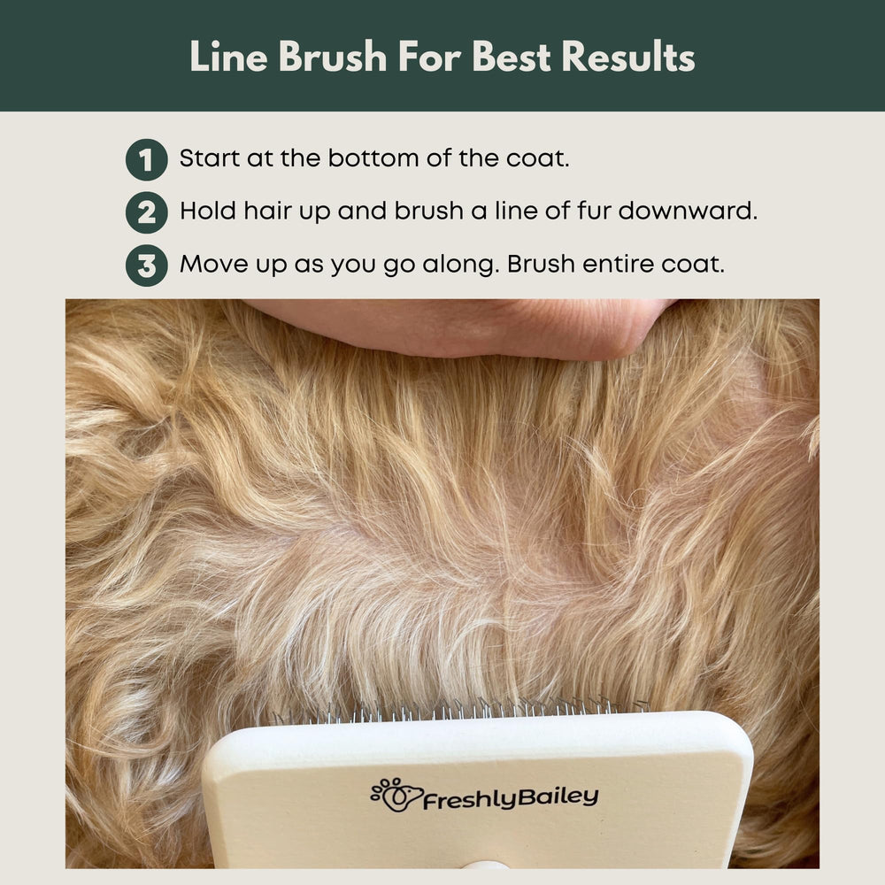 Freshly Bailey Doodle Slicker Brush brushing medium to long coats with ease.