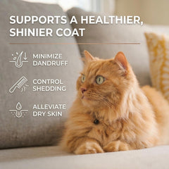 Freshly Bailey Omega-3 Cat dropper for precise, mess-free dosing on meals.