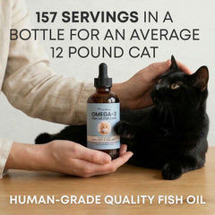 Freshly Bailey Omega-3 Cat skin and coat support with regular use.