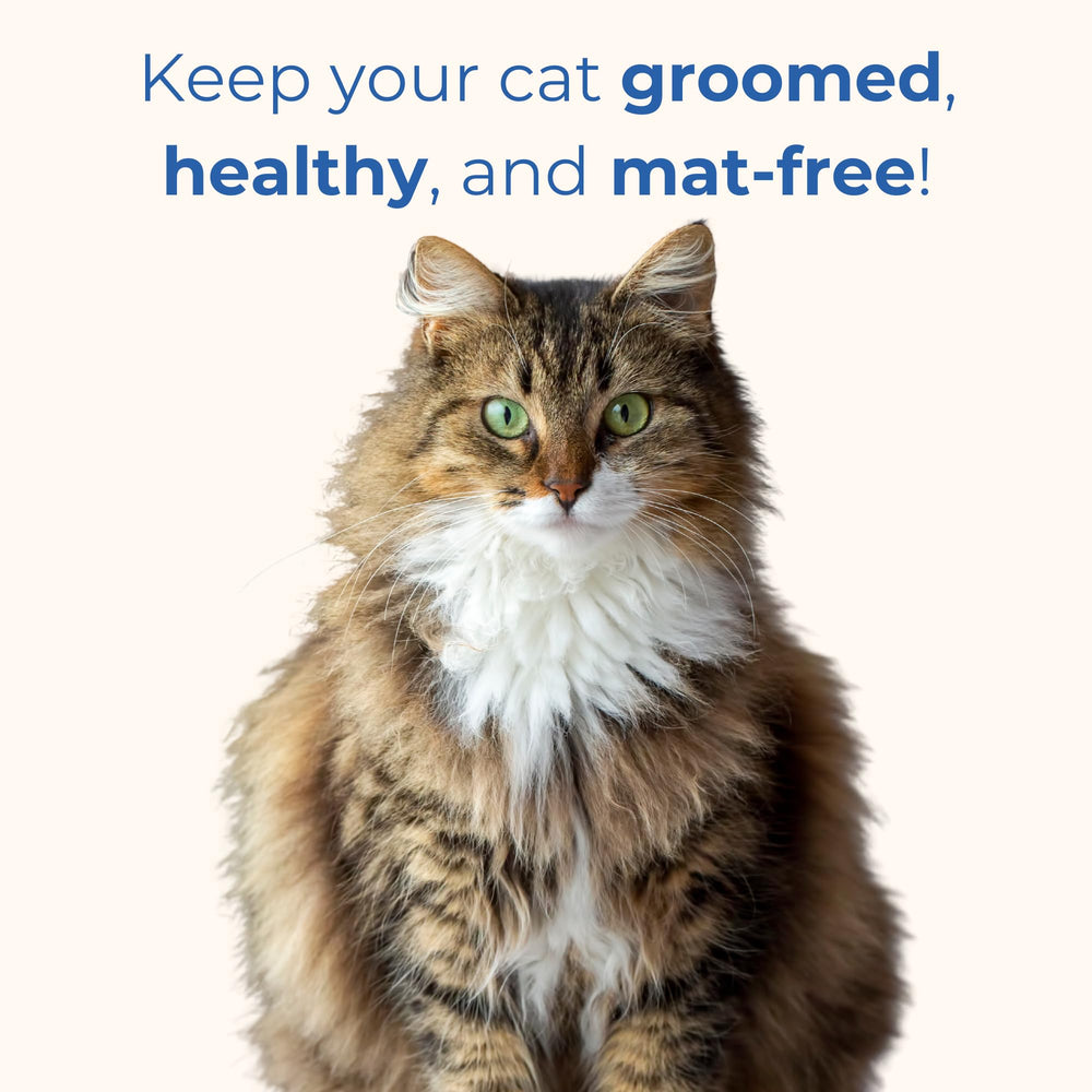 Freshly Bailey safety blunt-tip ends protect eyes and paws.