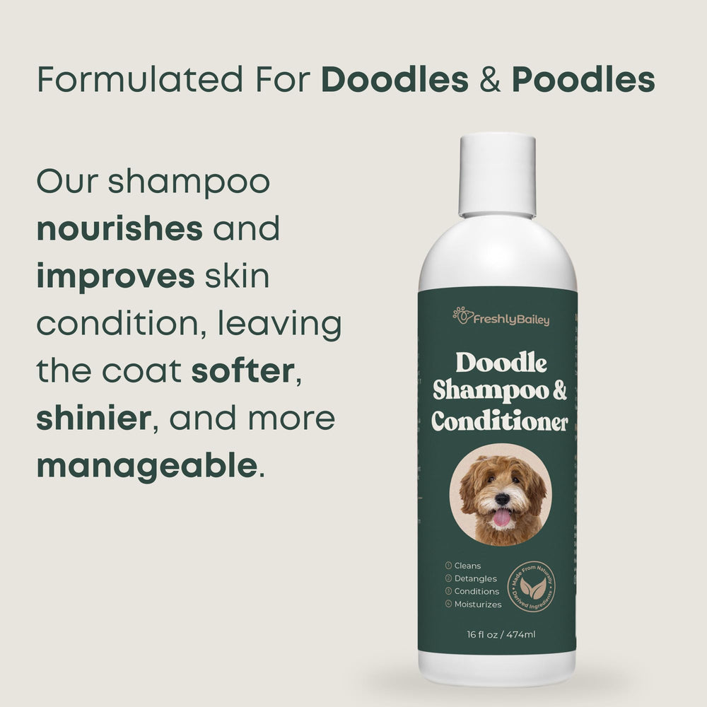 Freshly Bailey Shampoo foam action demonstrates easy rinsing and clean freshness.
