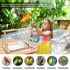 FrgKbTm parrot perch assembly in progress shows simple, user-friendly setup.