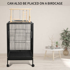 FrgKbTm playgym with toys offers engaging enrichment for small birds.