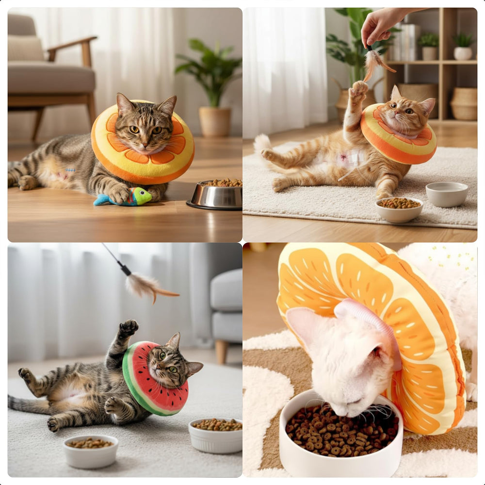 Frienda donut-shape cat cone on a kitten, non-blocking visibility
