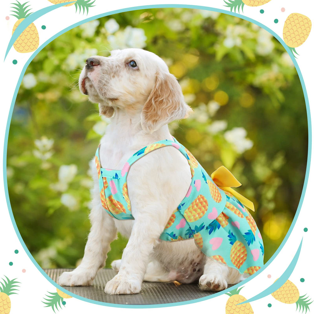 Frienda easy-fit pet dress provides comfortable sizing for small breeds.