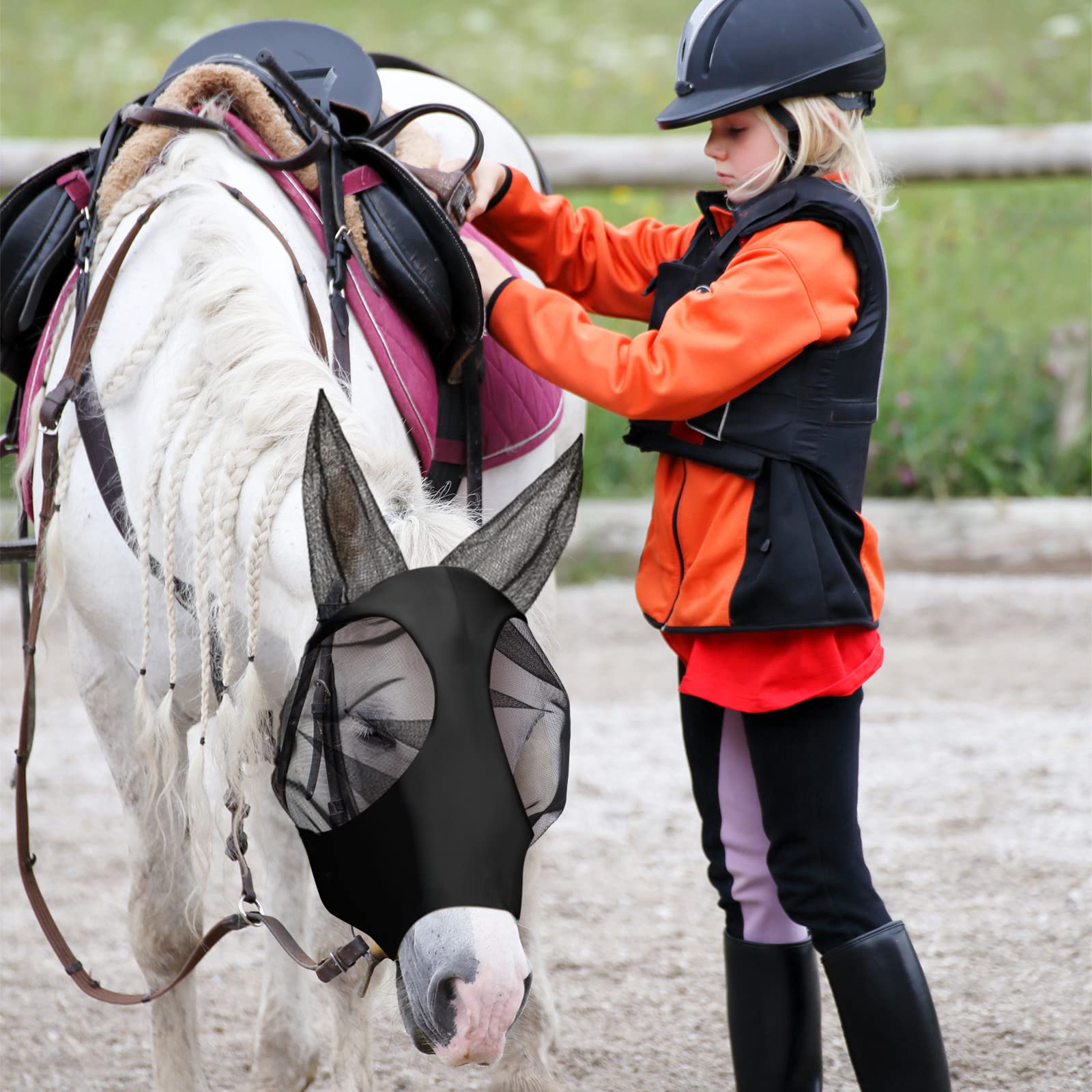 Frienda blue horse fly mask keeps flies away while preserving clear vision