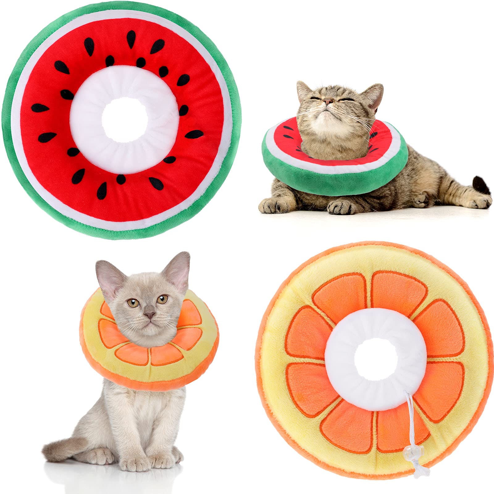 Frienda orange cat cone collar on a small cat for comfortable recovery