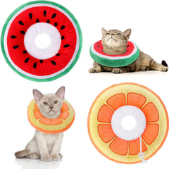 Frienda orange cat cone collar on a small cat for comfortable recovery
