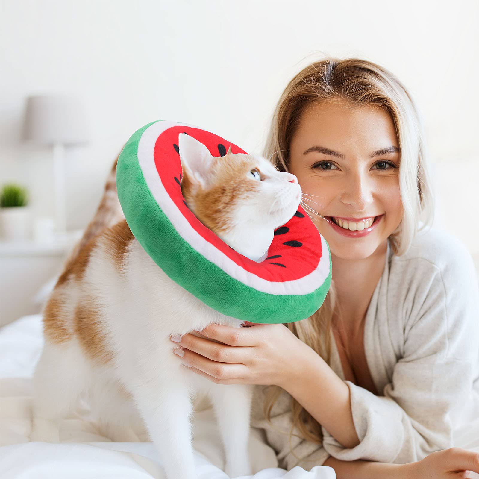 Frienda pet care cone aiding comfortable feeding and resting