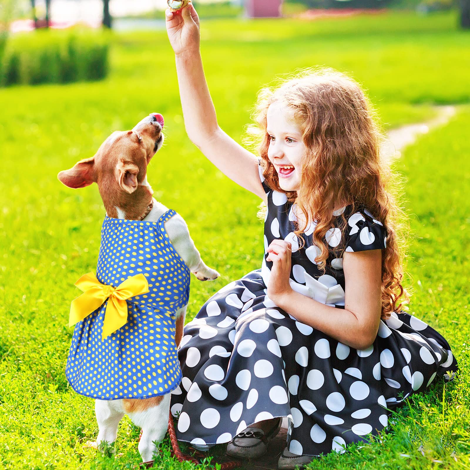 Frienda dog dress offers color variety for versatile outfits.