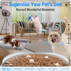 Frienhund feeder side view highlights space-saving footprint for homes
