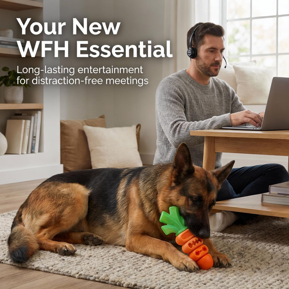 Frienhund Carrot Toy Dishwasher Safe for quick cleanup after play.