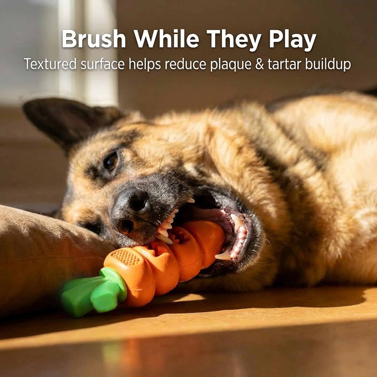 Frienhund Carrot Toy Large-Breed design built for strong jaws.