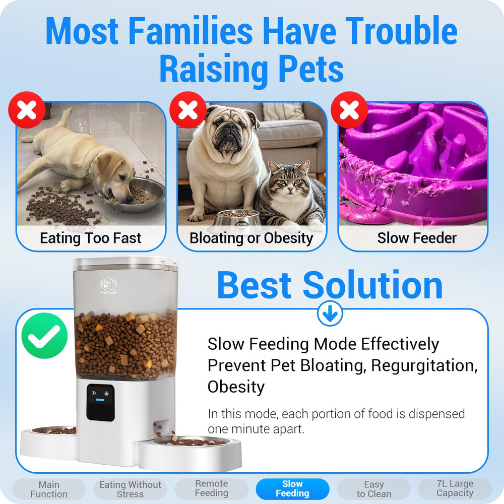 Frienhund detachable tank and stainless bowls for easy cleaning
